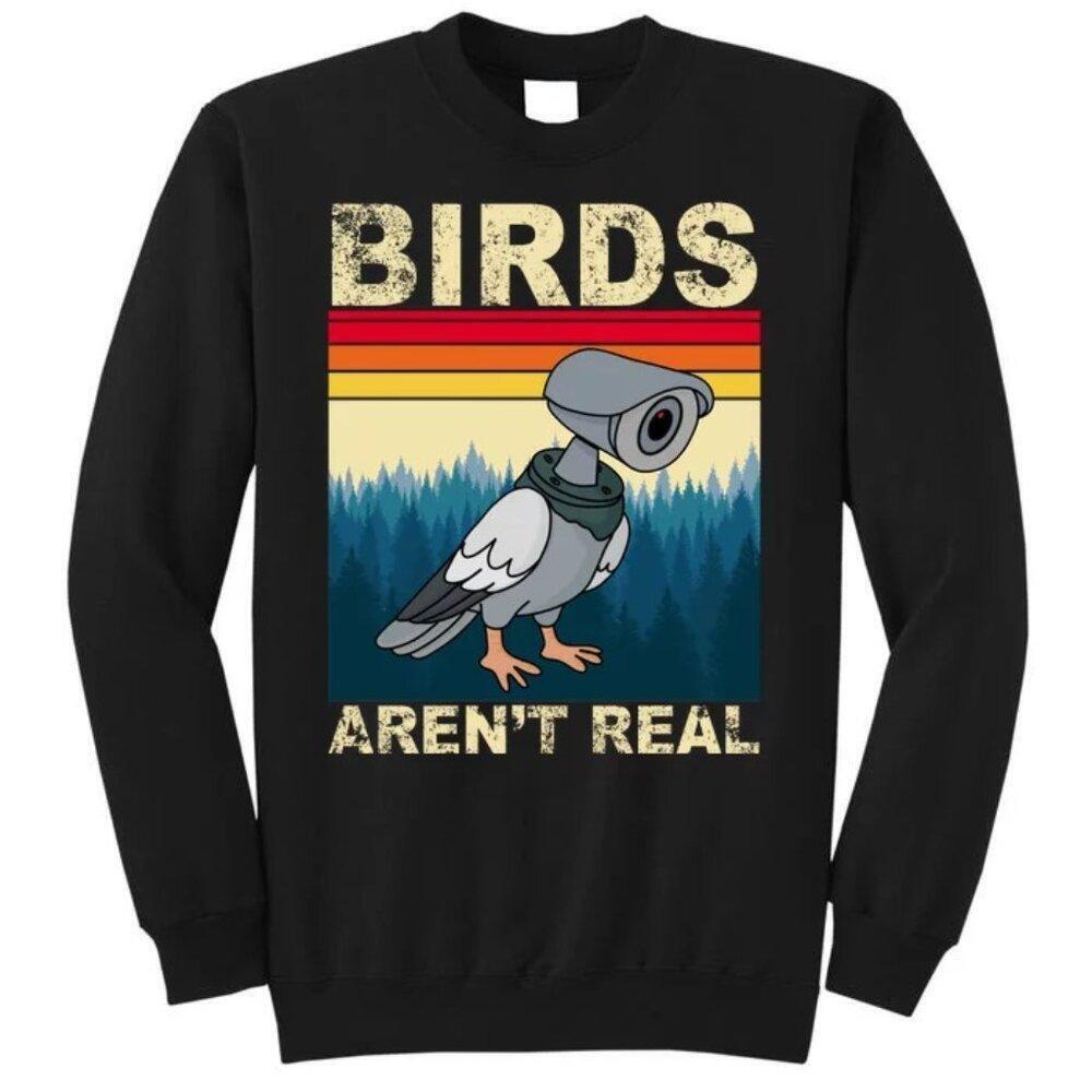 Birds Arent Real Camera Sunset Graphic Sweatshirt Meme Design 17